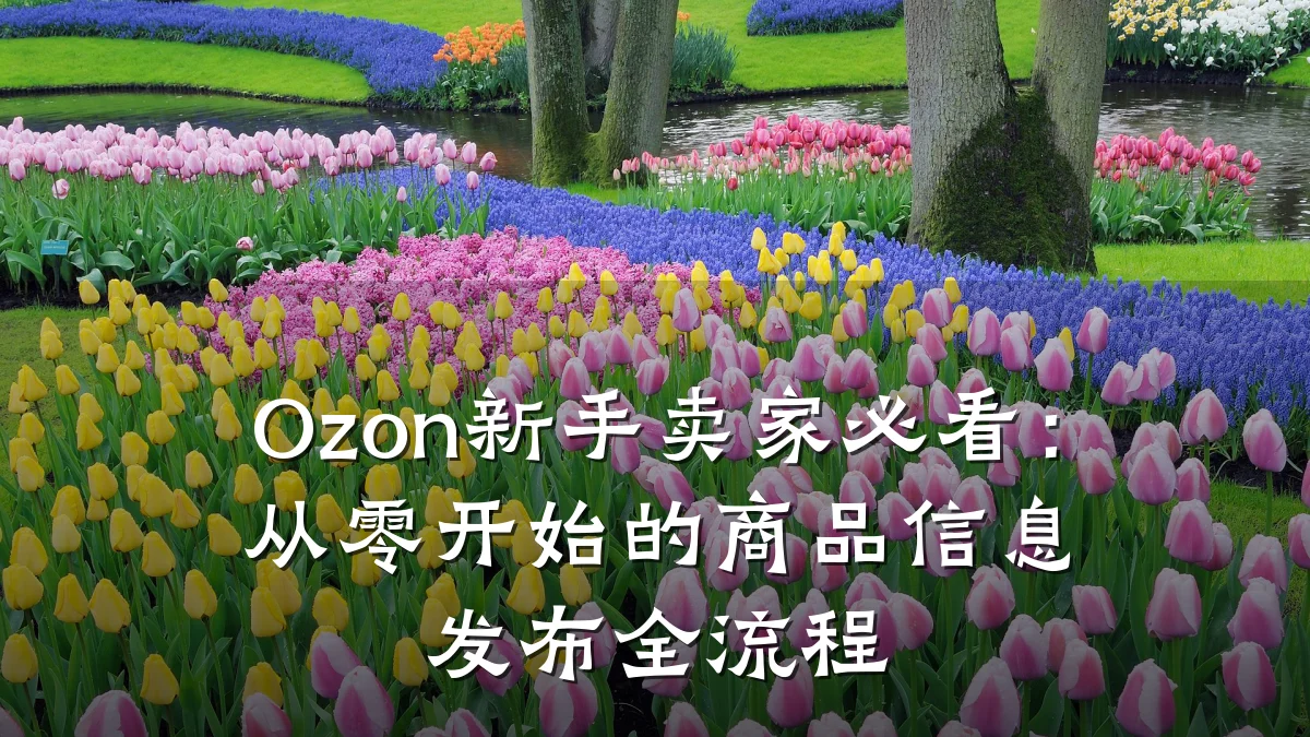 Ozon新手卖家必看:从零开始的商品信息发布全流程