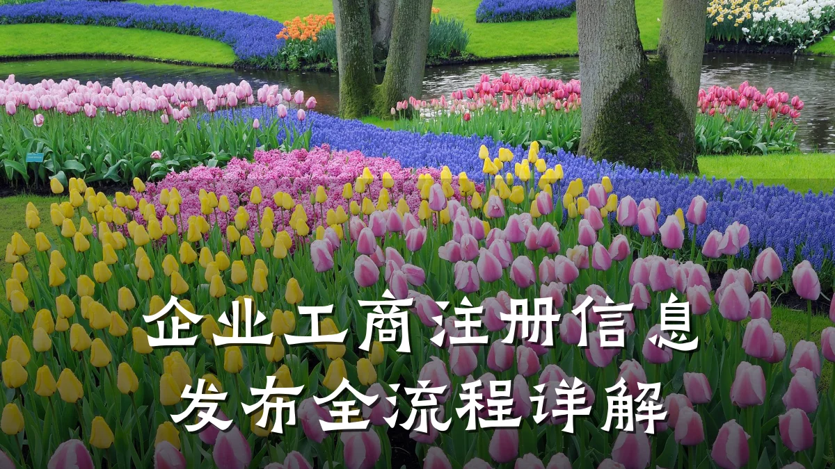 企业工商注册信息发布全流程详解
