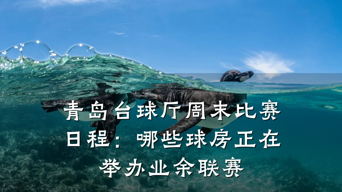 青岛台球厅周末比赛日程:哪些球房正在举办业余联赛