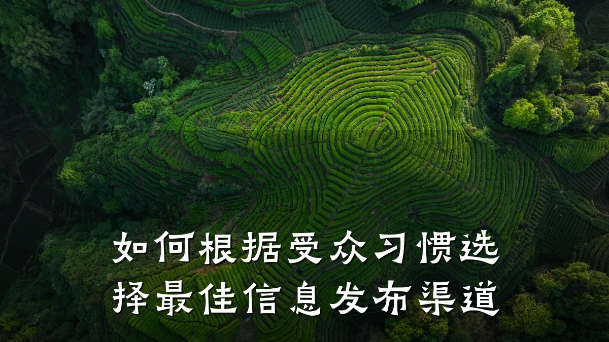 如何根据受众习惯选择最佳信息发布渠道
