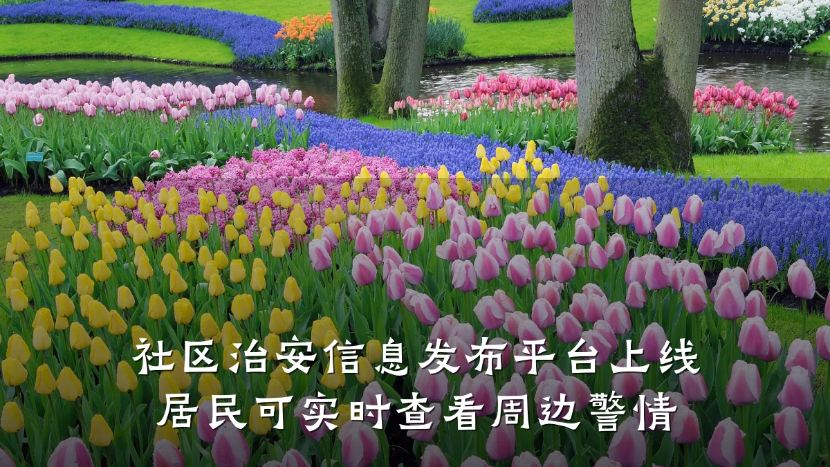 社区治安信息发布平台上线 居民可实时查看周边警情