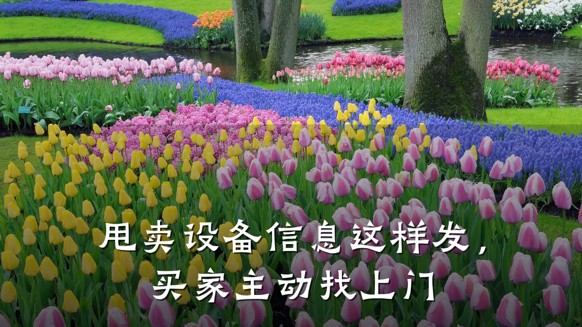 甩卖设备信息这样发,买家主动找上门