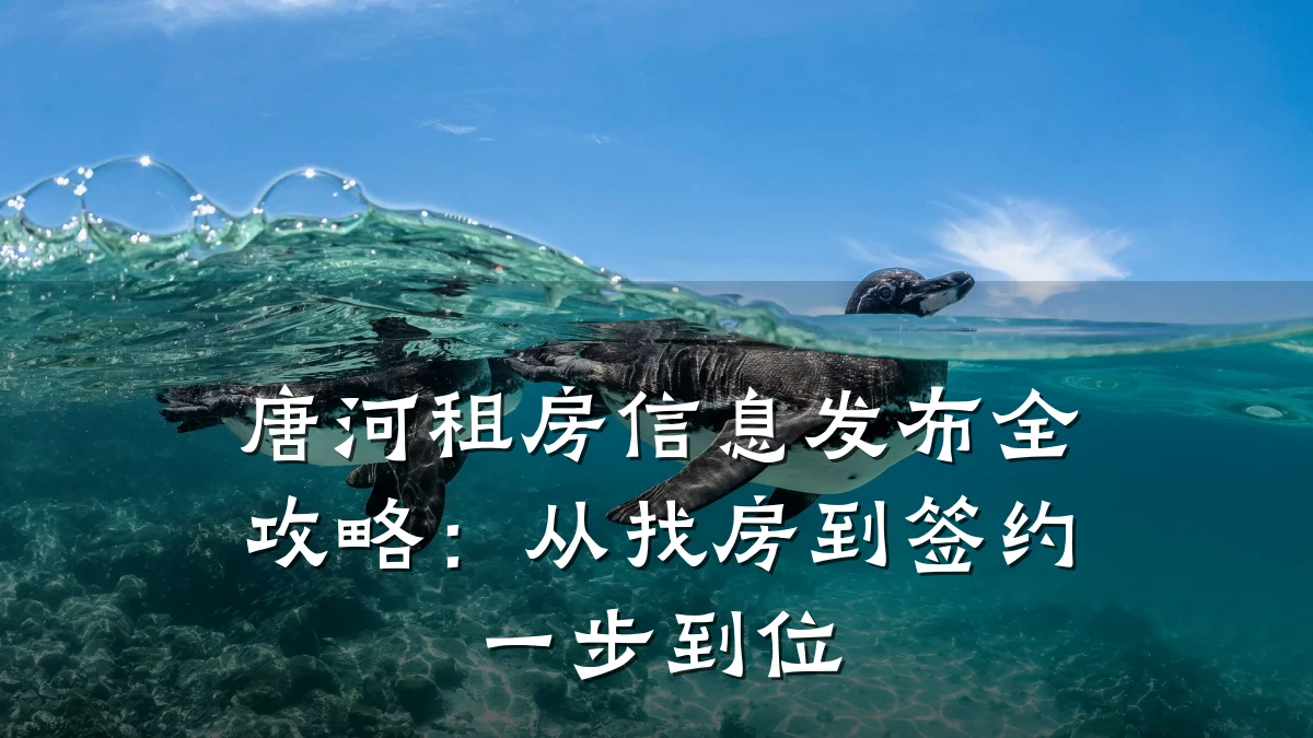 唐河租房信息发布全攻略:从找房到签约一步到位