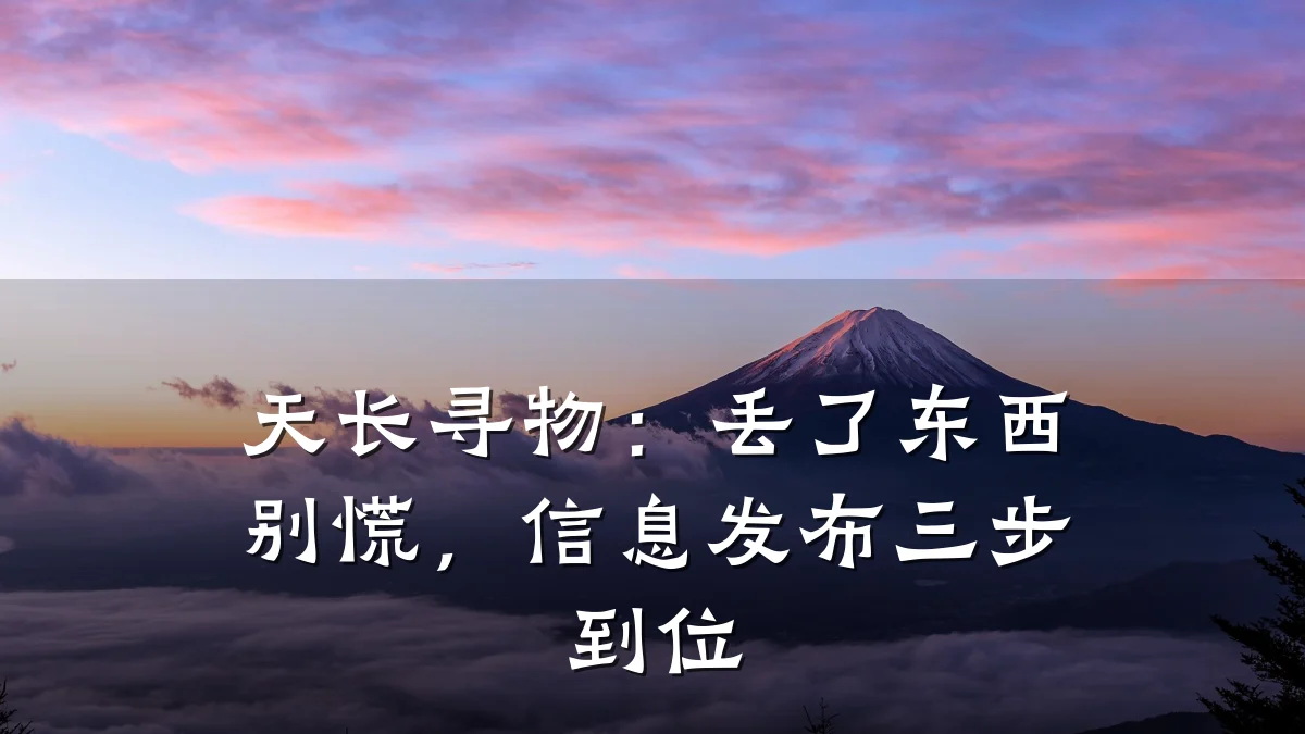 天长寻物:丢了东西别慌,信息发布三步到位