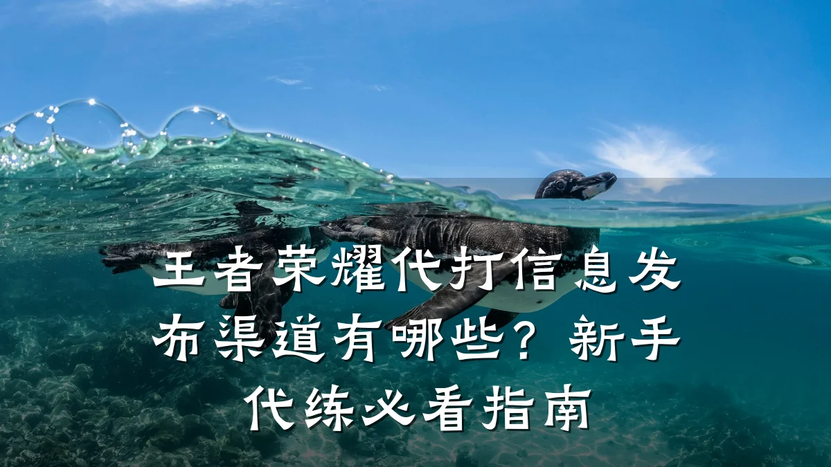 王者荣耀代打信息发布渠道有哪些?新手代练必看指南