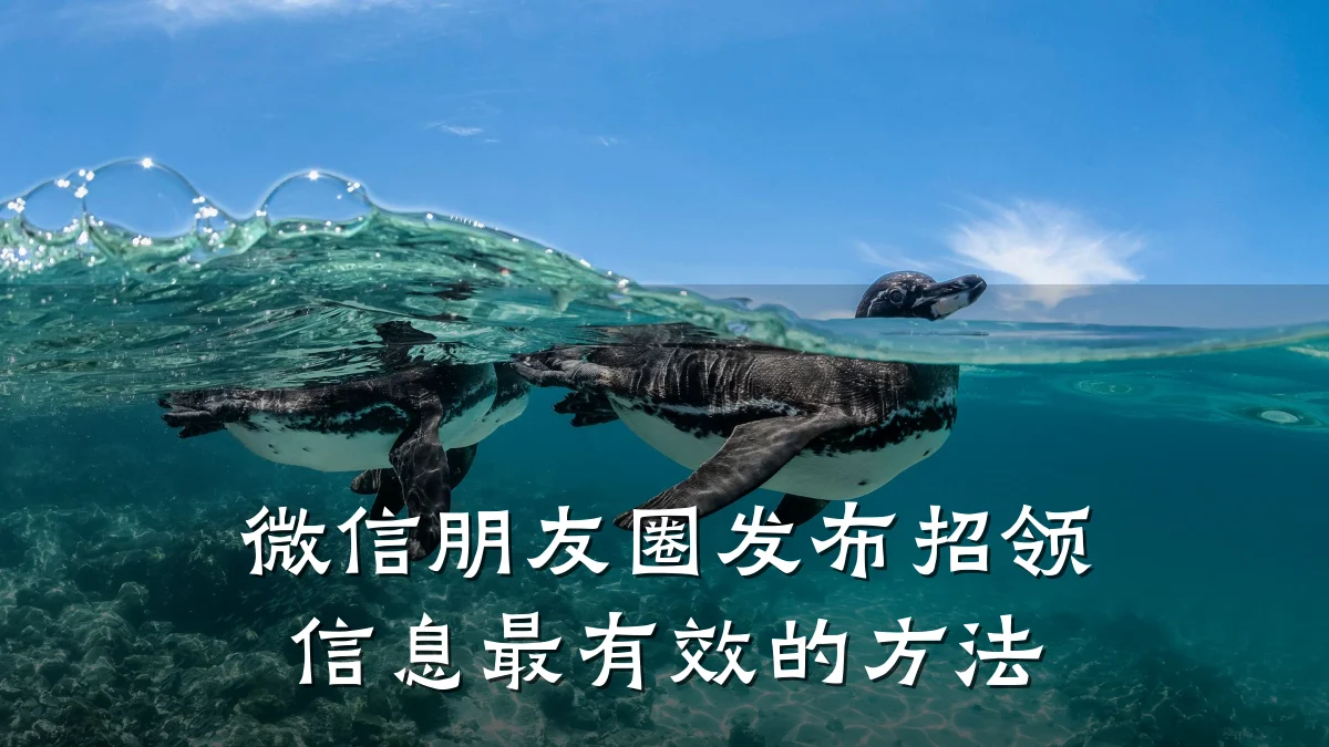 微信朋友圈发布招领信息最有效的方法