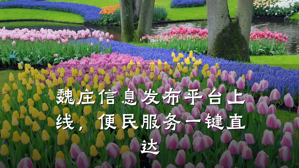 魏庄信息发布平台上线,便民服务一键直达
