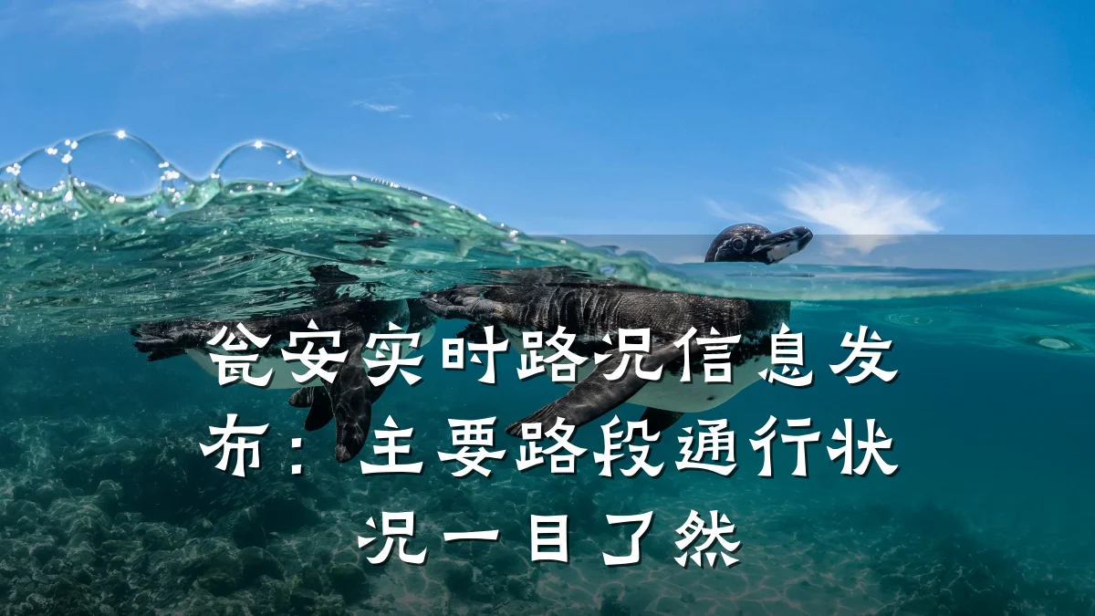 瓮安实时路况信息发布：主要路段通行状况一目了然