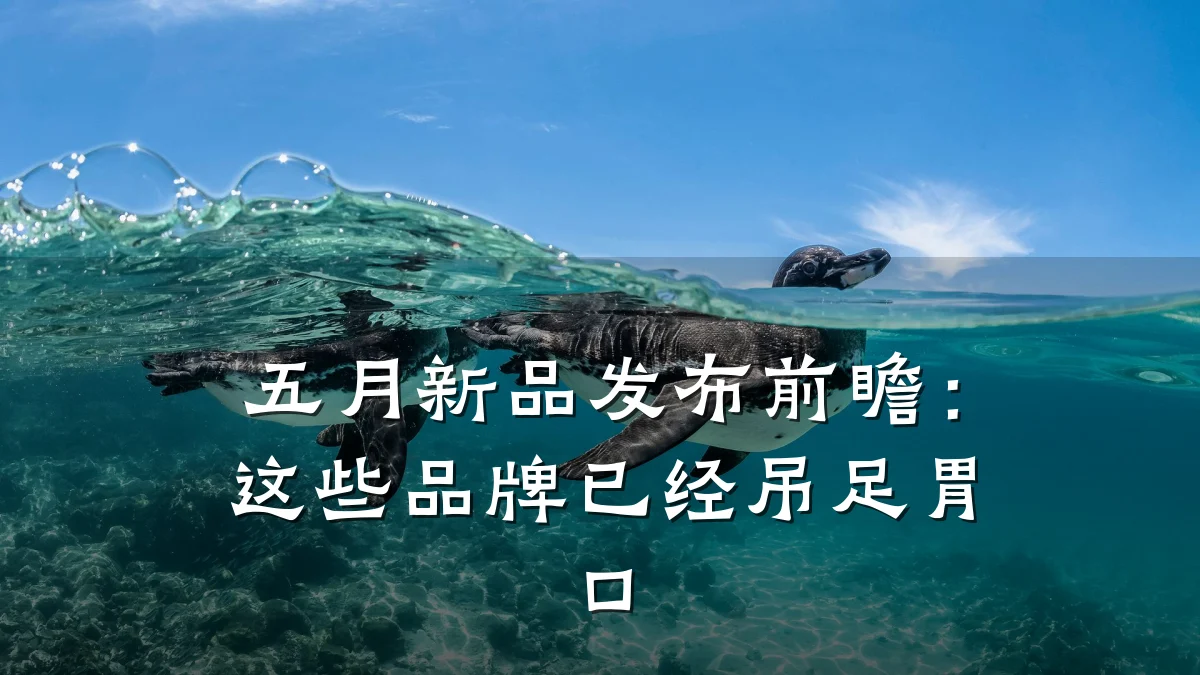 五月新品发布前瞻:这些品牌已经吊足胃口