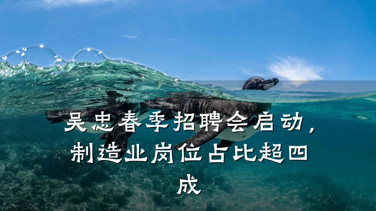 吴忠春季招聘会启动,制造业岗位占比超四成