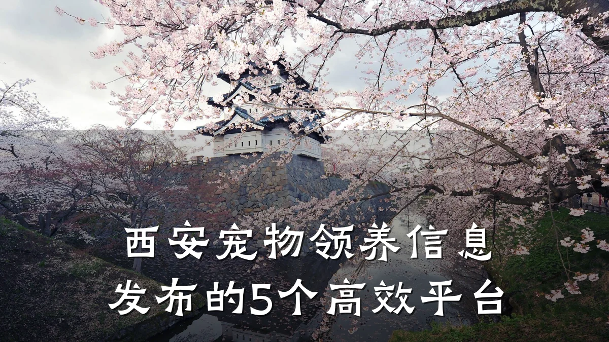 西安宠物领养信息发布的5个高效平台