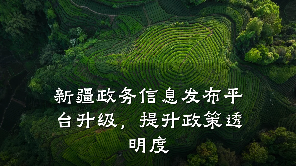 新疆政务信息发布平台升级,提升政策透明度