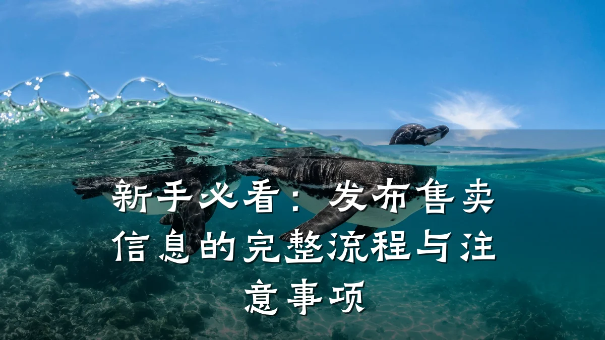 新手必看:发布售卖信息的完整流程与注意事项