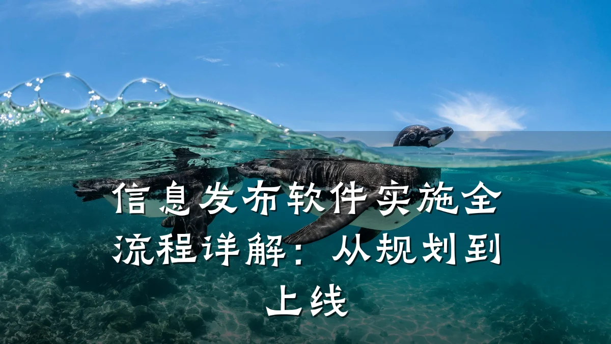 信息发布软件实施全流程详解:从规划到上线