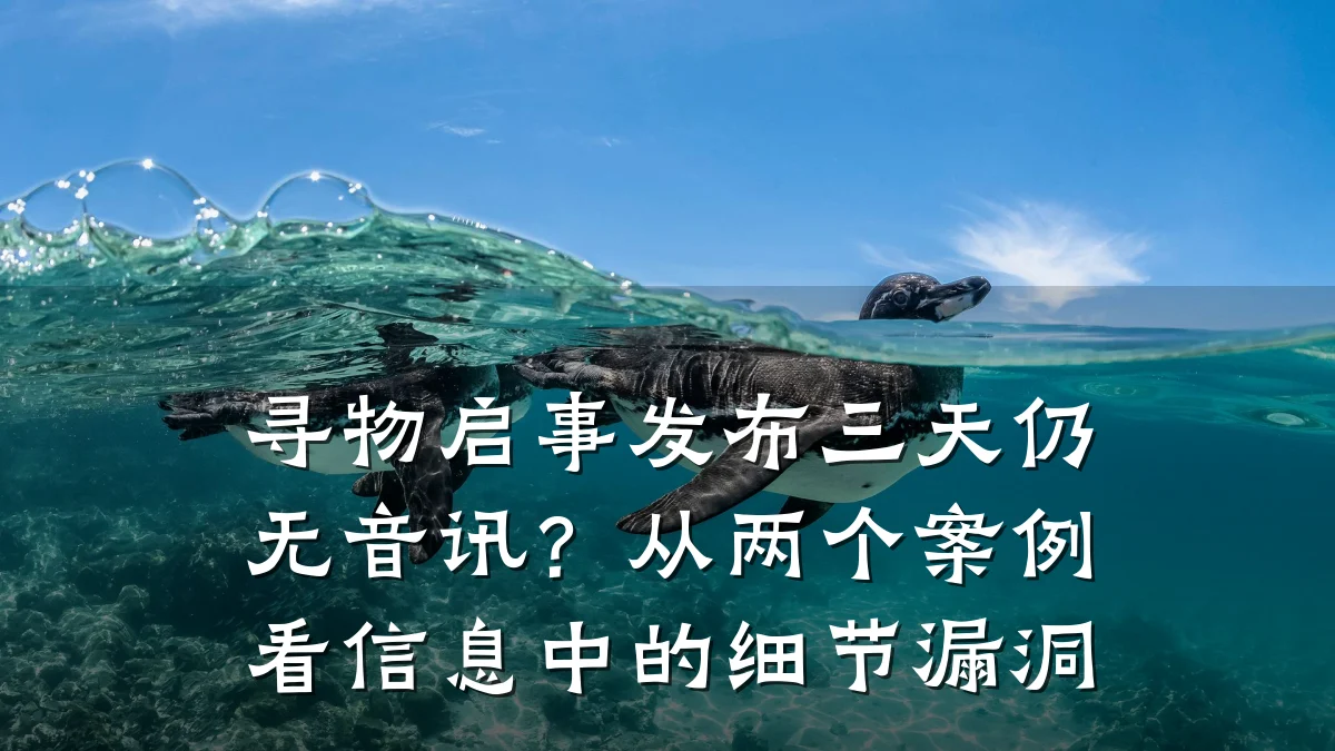 寻物启事发布三天仍无音讯？从两个案例看信息中的细节漏洞