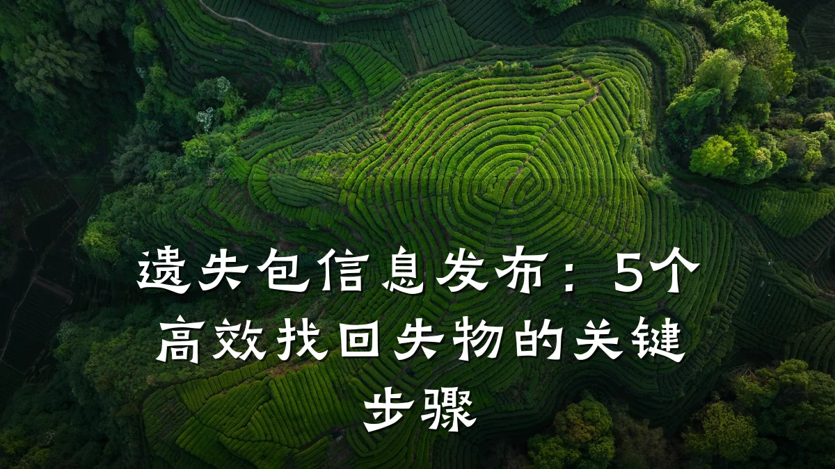 遗失包信息发布:5个高效找回失物的关键步骤