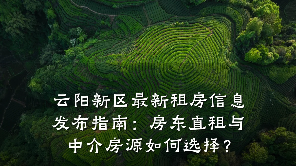 云阳新区最新租房信息发布指南:房东直租与中介房源如何选择?