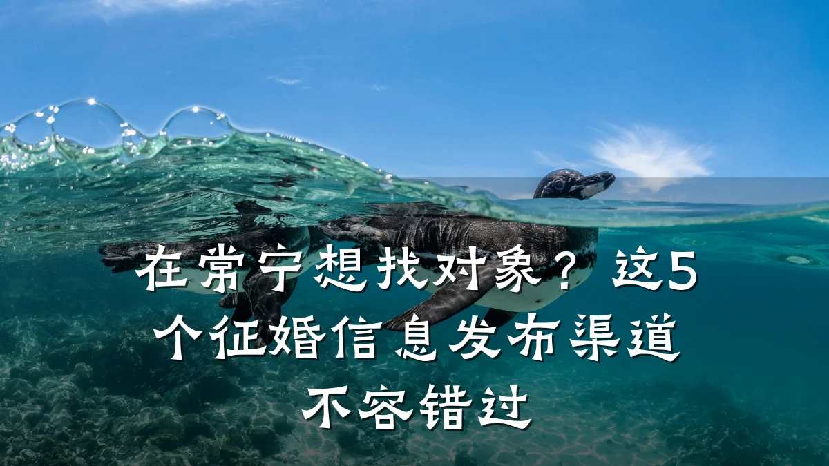 在常宁想找对象?这5个征婚信息发布渠道不容错过