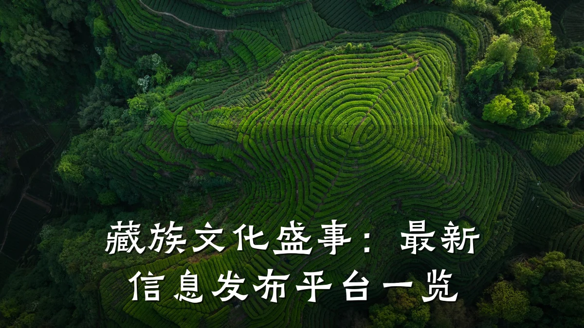 藏族文化盛事:最新信息发布平台一览