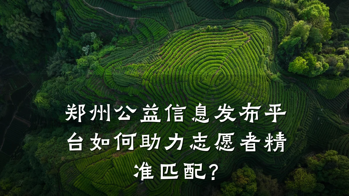 郑州公益信息发布平台如何助力志愿者精准匹配?