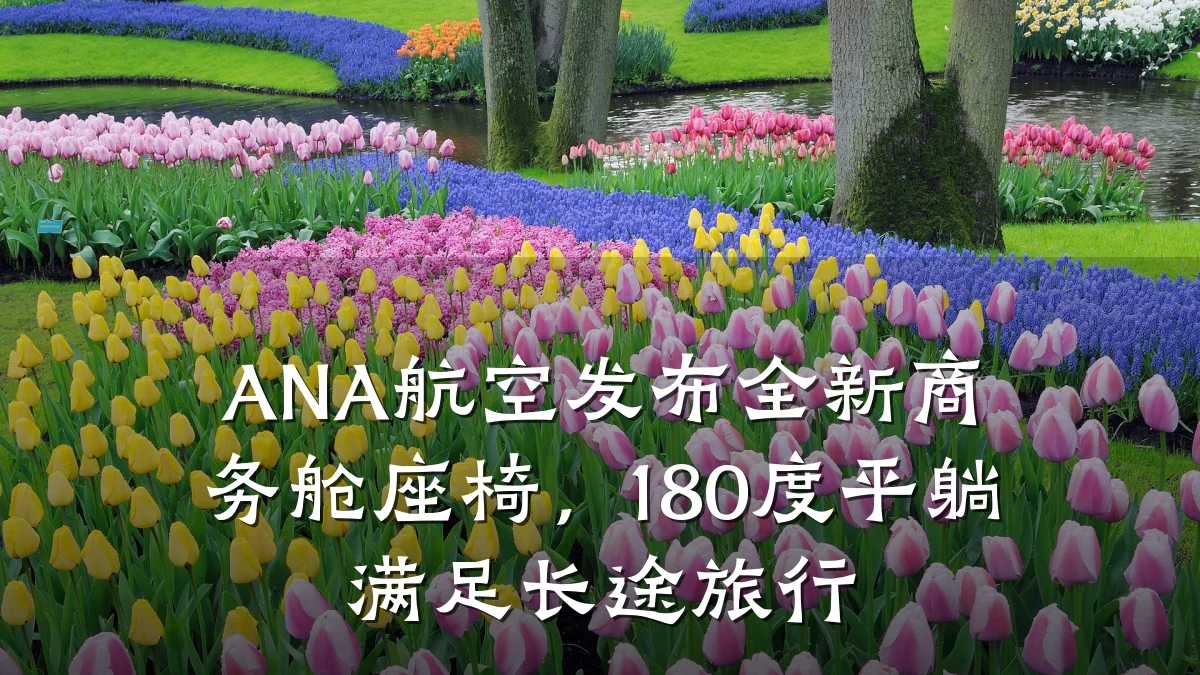 ANA航空发布全新商务舱座椅,180度平躺满足长途旅行
