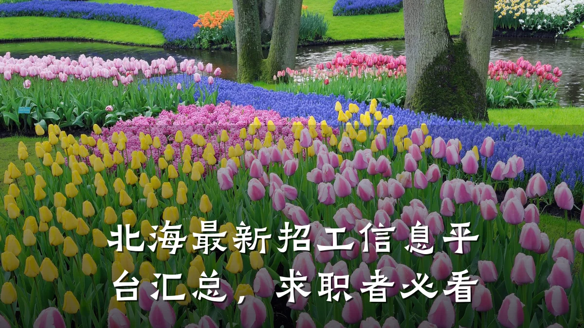 北海最新招工信息平台汇总，求职者必看