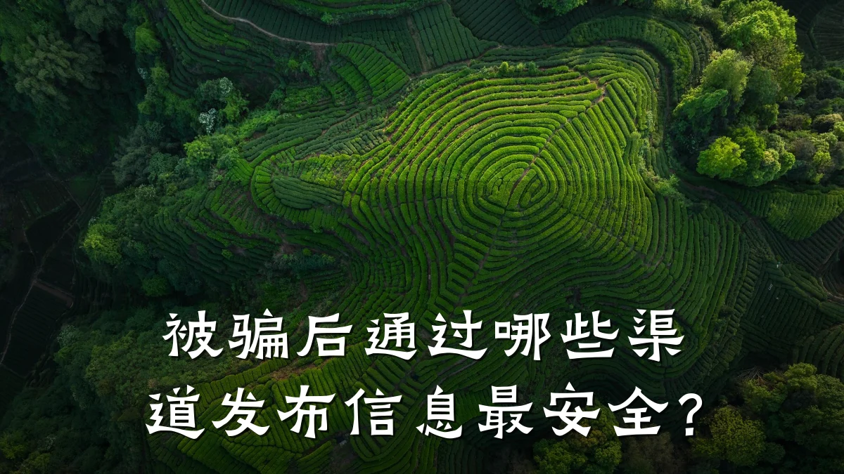 被骗后通过哪些渠道发布信息最安全?