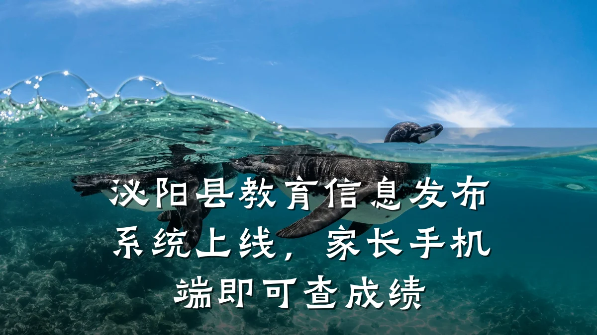 泌阳县教育信息发布系统上线,家长手机端即可查成绩