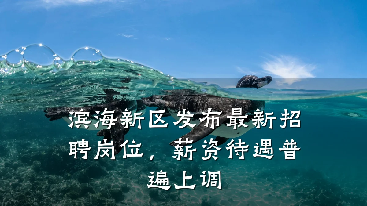滨海新区发布最新招聘岗位,薪资待遇普遍上调