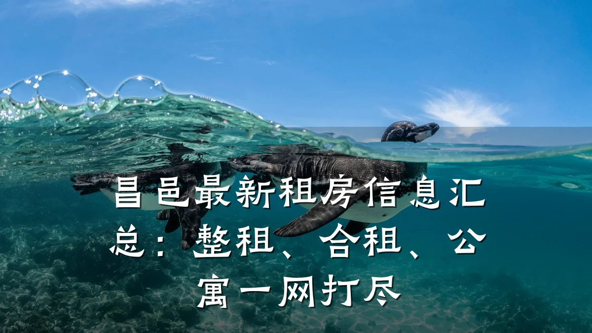 昌邑最新租房信息汇总:整租、合租、公寓一网打尽