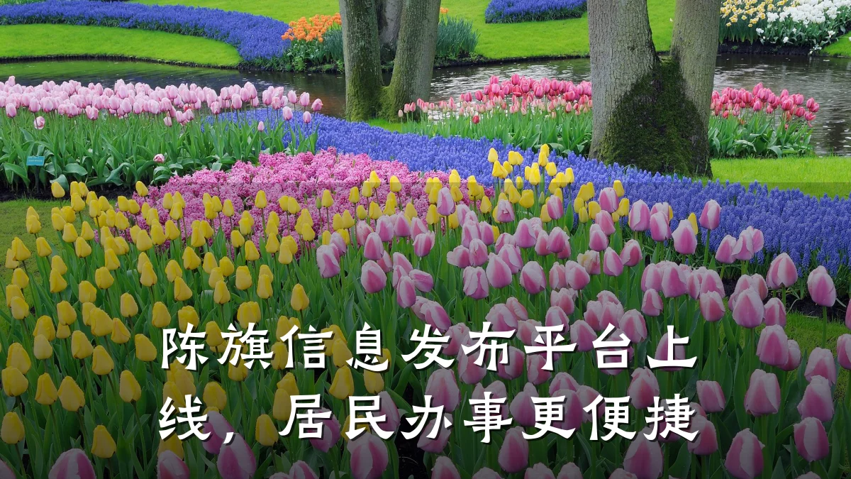 陈旗信息发布平台上线,居民办事更便捷