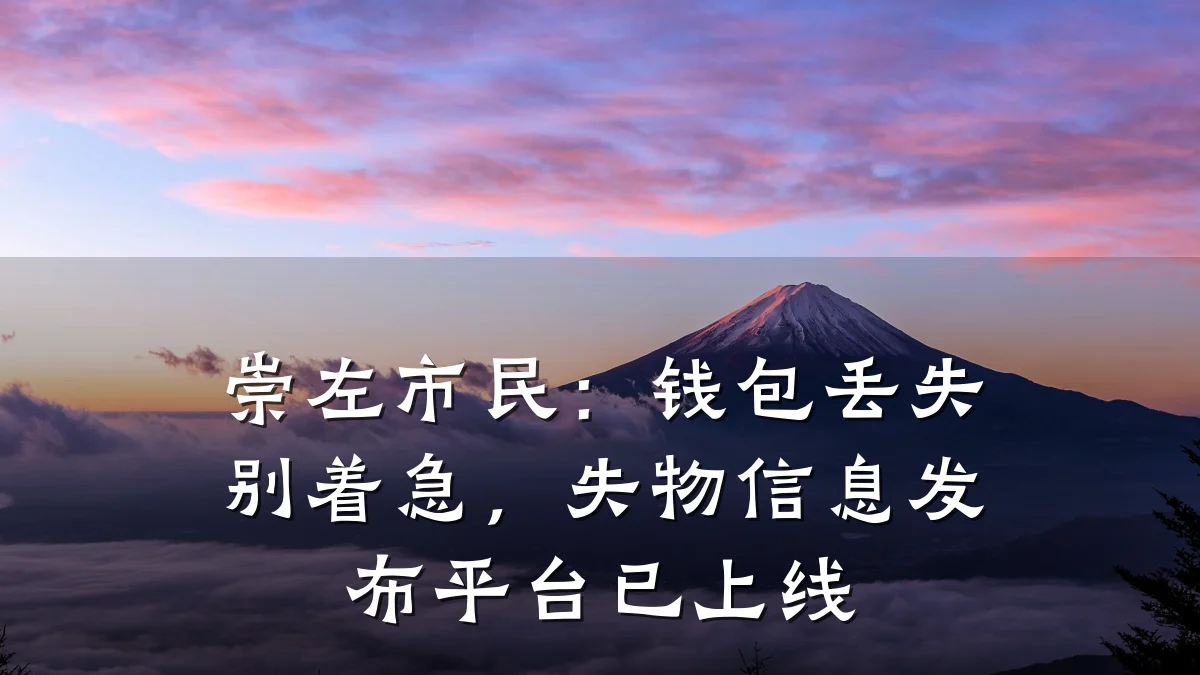 崇左市民:钱包丢失别着急,失物信息发布平台已上线