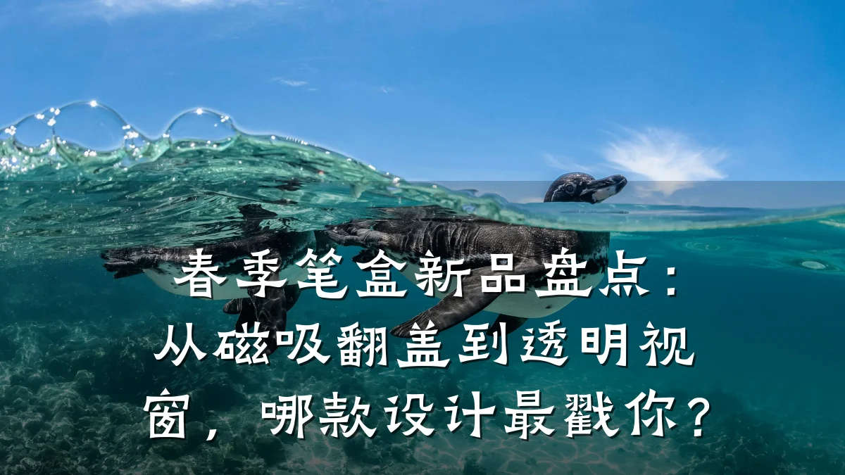 春季笔盒新品盘点:从磁吸翻盖到透明视窗,哪款设计最戳你?