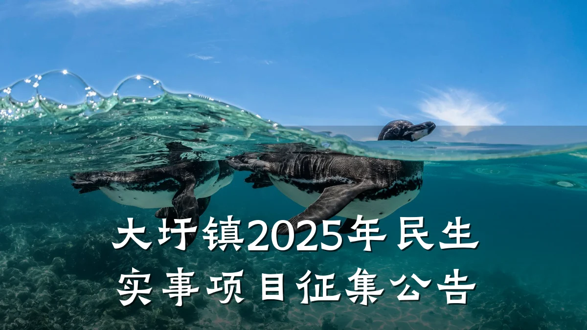 大圩镇2025年民生实事项目征集公告