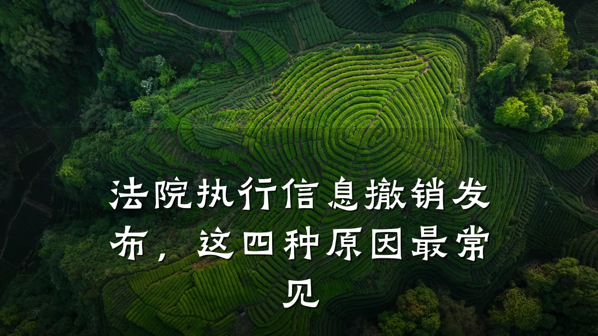 法院执行信息撤销发布，这四种原因最常见