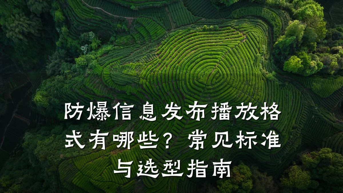 防爆信息发布播放格式有哪些?常见标准与选型指南