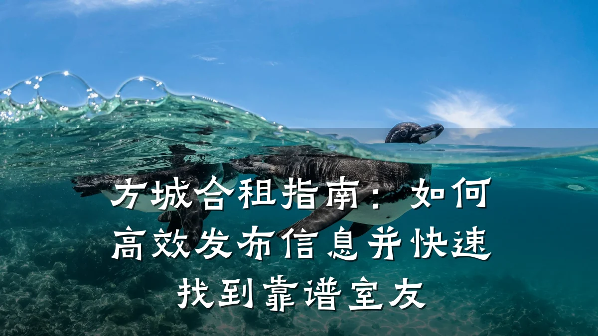方城合租指南:如何高效发布信息并快速找到靠谱室友