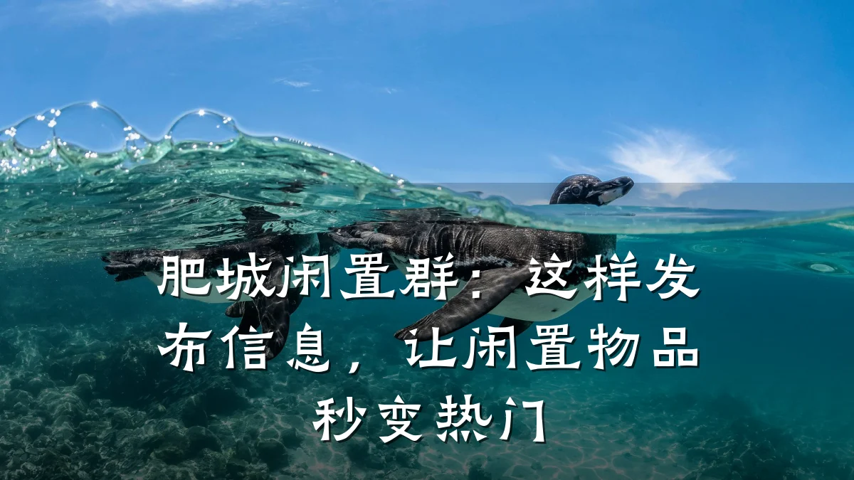 肥城闲置群:这样发布信息,让闲置物品秒变热门