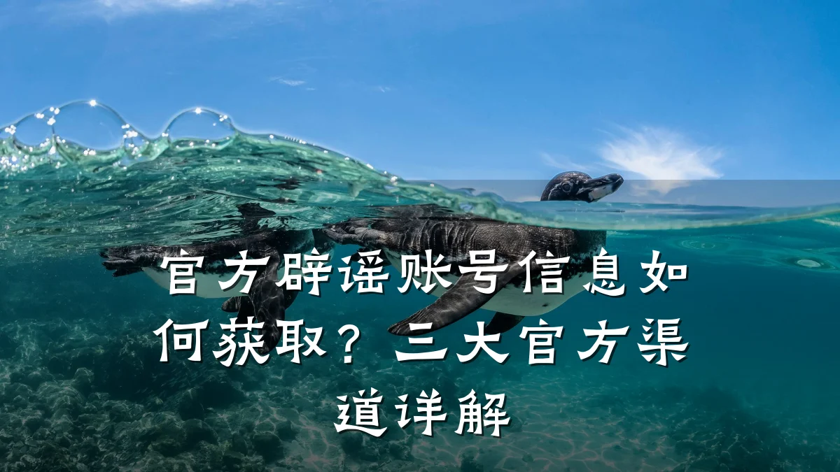 官方辟谣账号信息如何获取?三大官方渠道详解