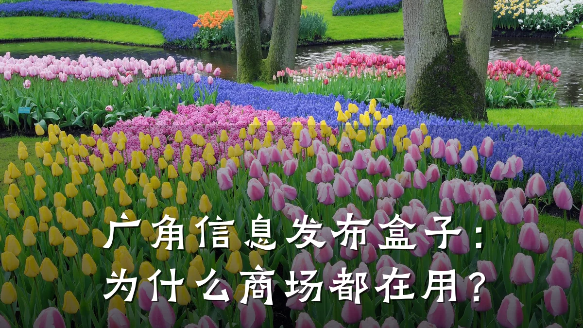 广角信息发布盒子:为什么商场都在用?
