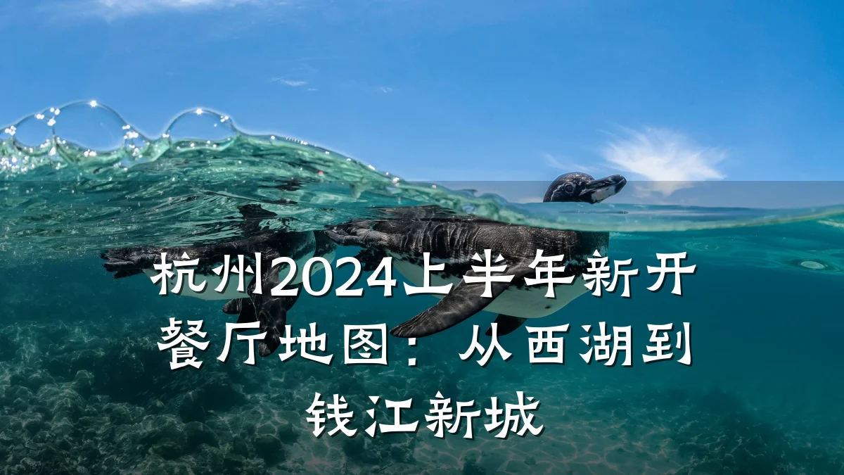 杭州2024上半年新开餐厅地图:从西湖到钱江新城