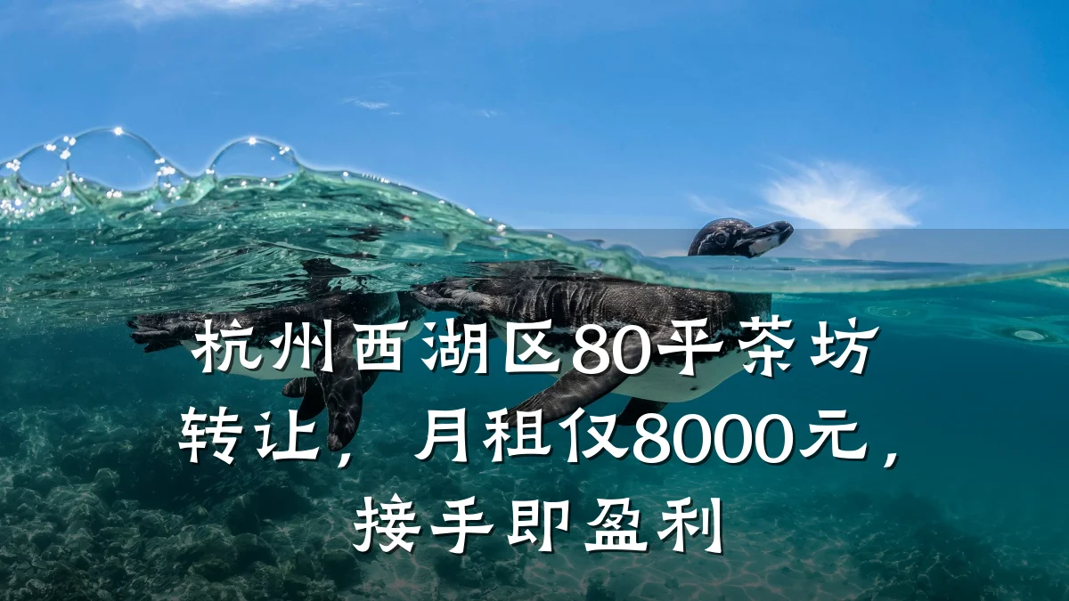 杭州西湖区80平茶坊转让,月租仅8000元,接手即盈利