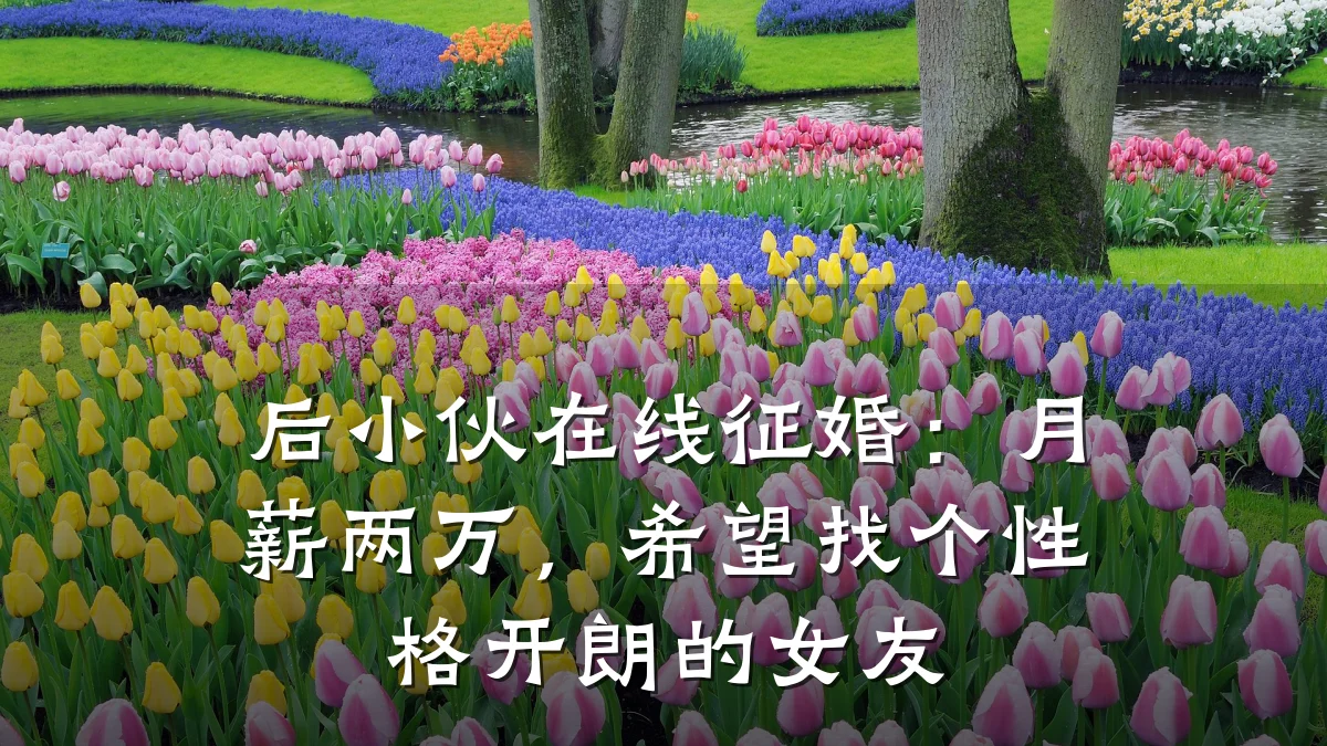 后小伙在线征婚:月薪两万,希望找个性格开朗的女友