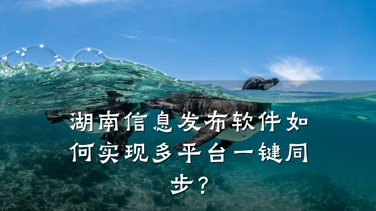 湖南信息发布软件如何实现多平台一键同步?