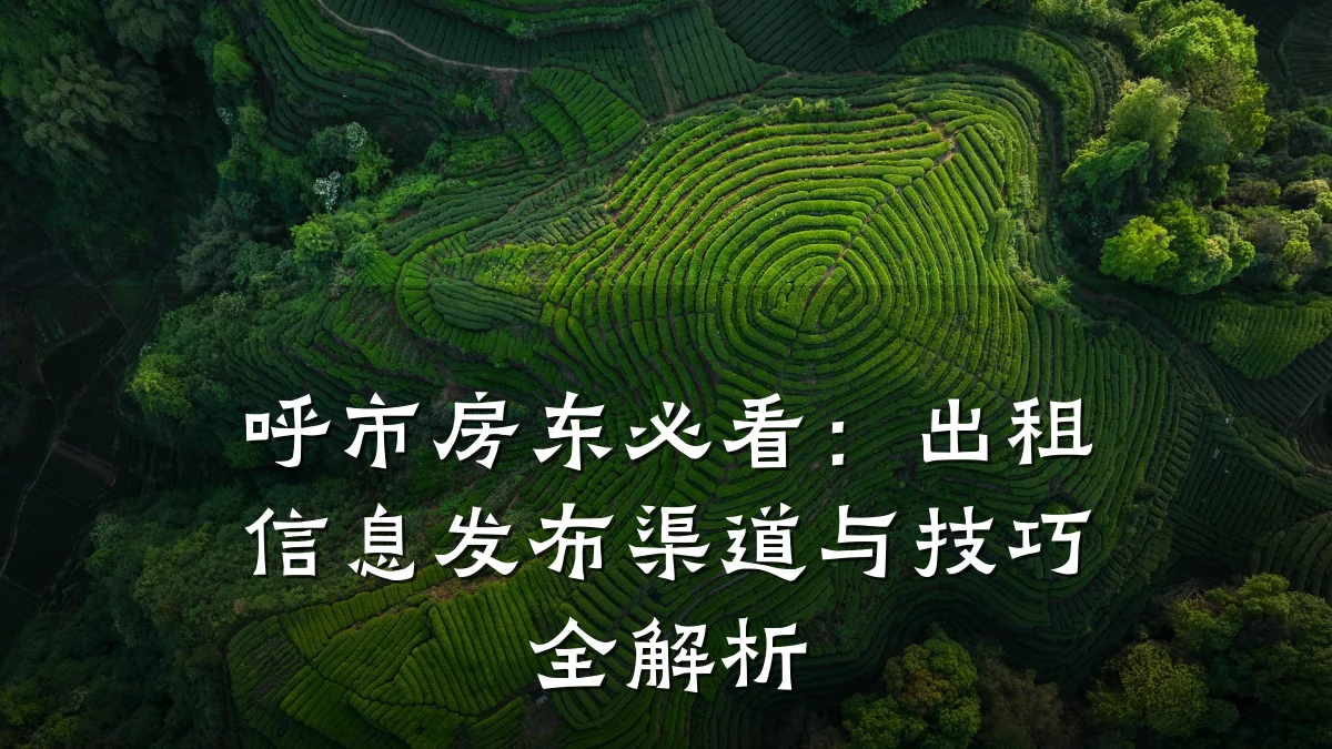 呼市房东必看:出租信息发布渠道与技巧全解析