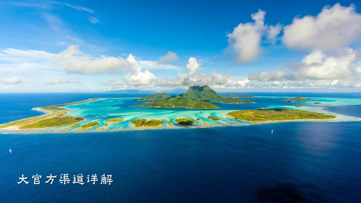 大官方渠道详解