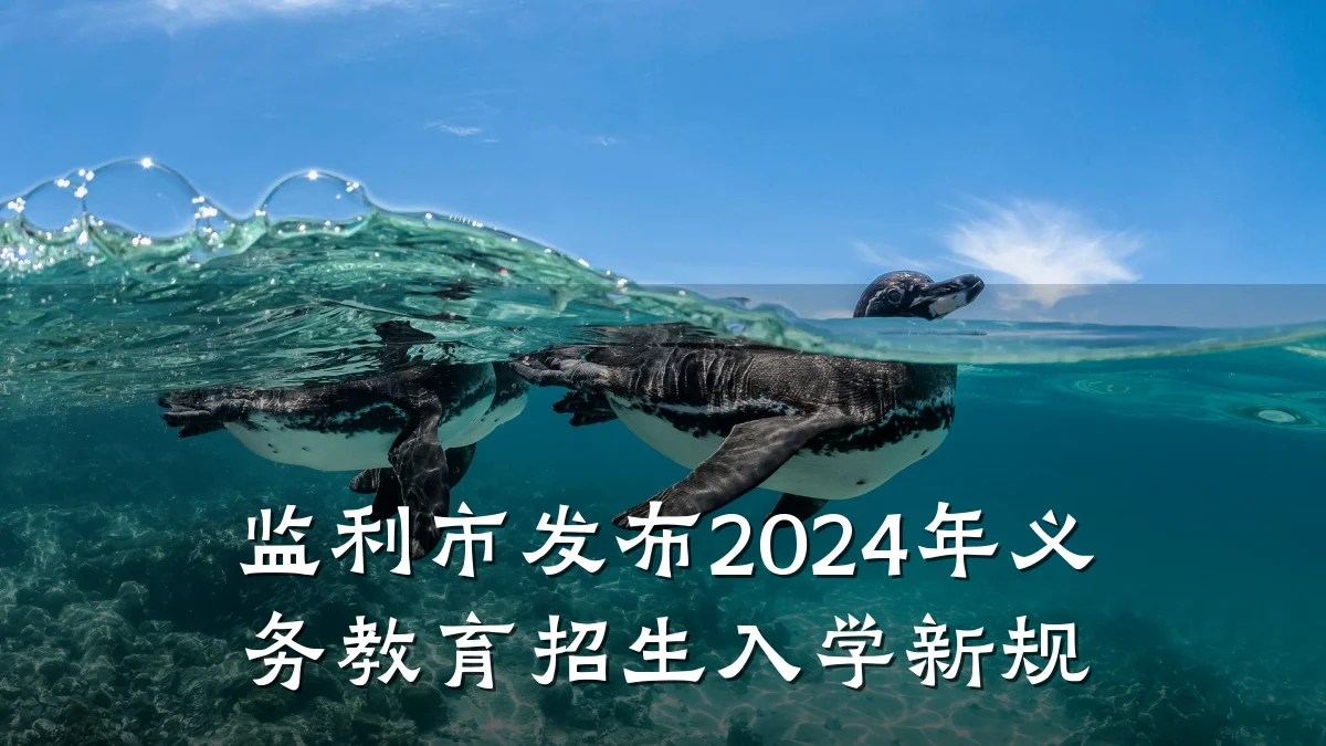 监利市发布2024年义务教育招生入学新规