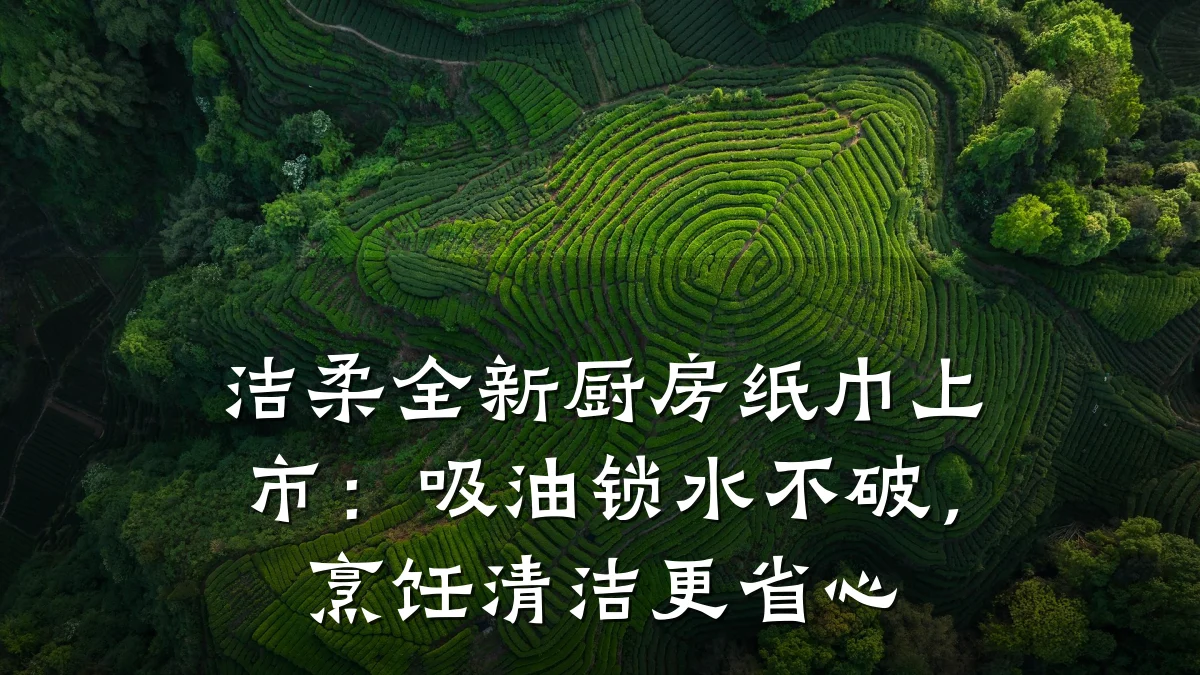 洁柔全新厨房纸巾上市:吸油锁水不破,烹饪清洁更省心