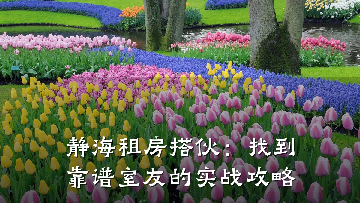 静海租房搭伙:找到靠谱室友的实战攻略