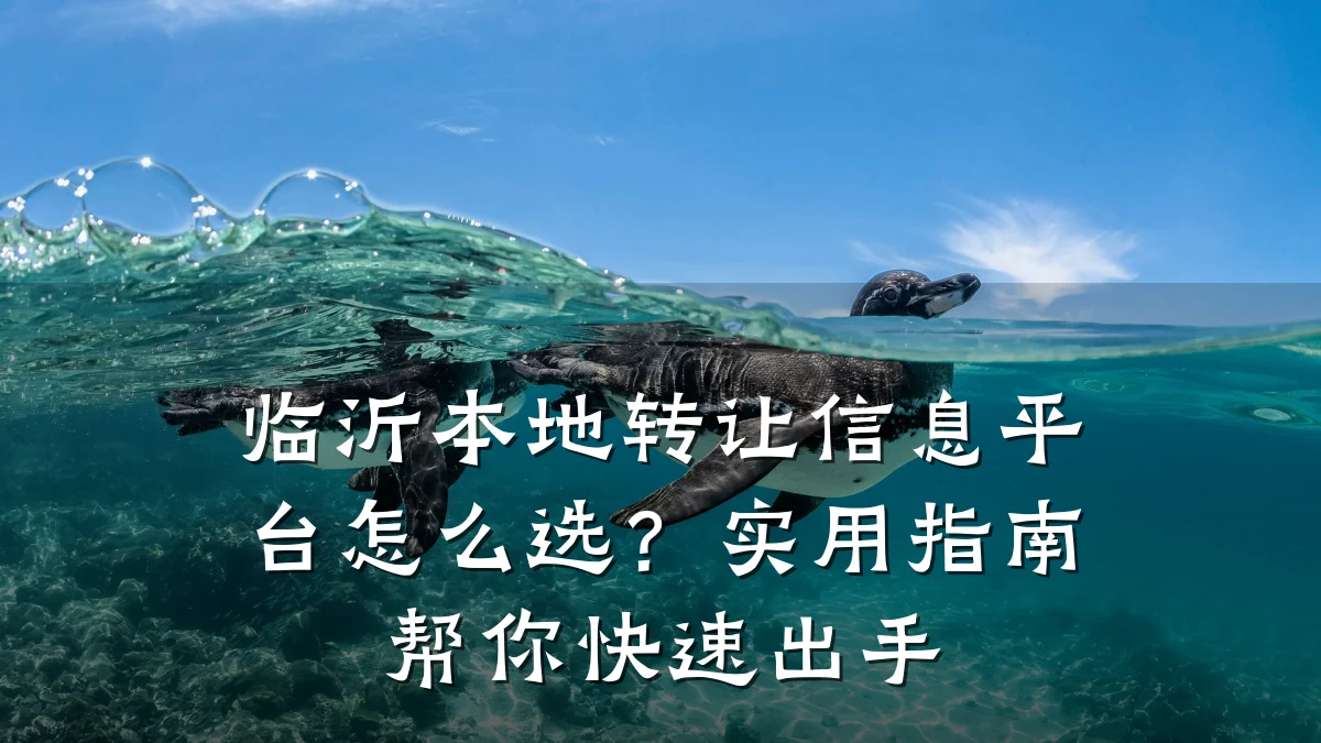 临沂本地转让信息平台怎么选?实用指南帮你快速出手